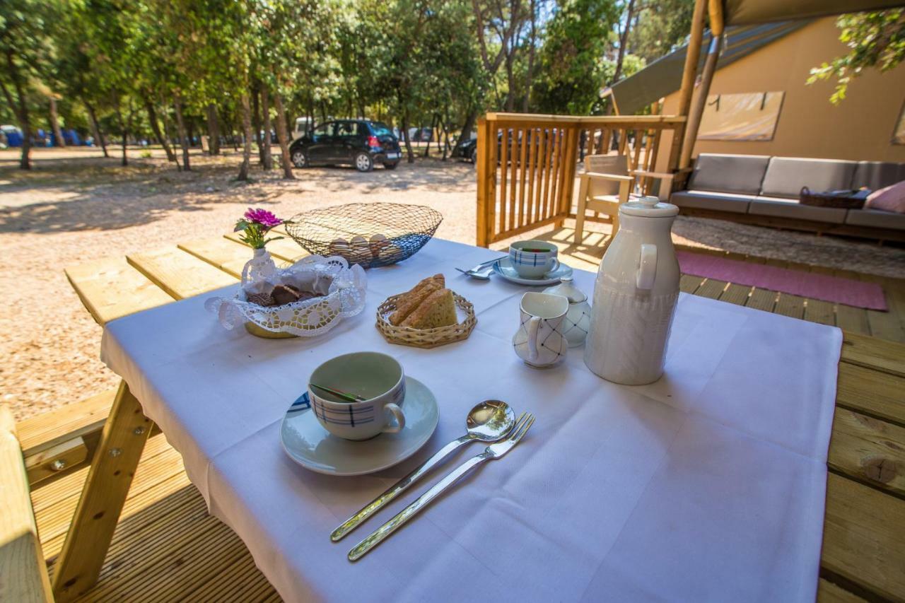 Campo de lujo Glamping Soline